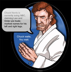 Chuck Norris Facts widget